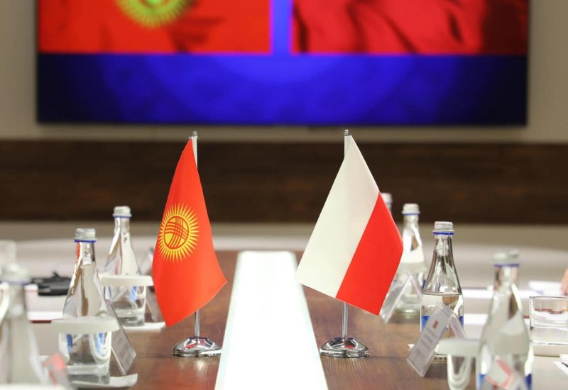 В МВД Кыргызстана прошли переговоры с польской делегацией по вопросам миграции