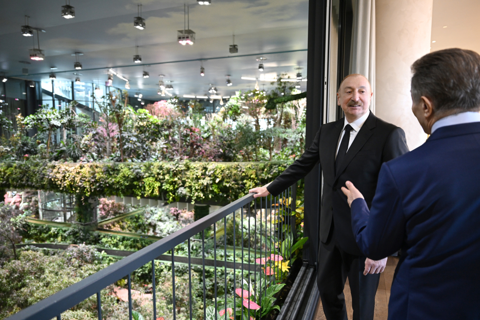 В Тбилиси в честь Президента Азербайджана Ильхама Алиева дан ланч (ФОТО/ВИДЕО)