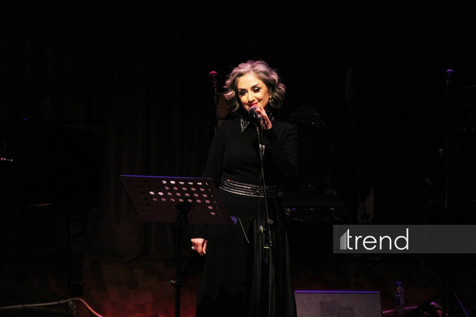 В Баку состоялся творческий вечер Арзу Рзаевой из Норвегии – музыкальный сюрприз Гюльнары Халиловой (ВИДЕО, ФОТО)