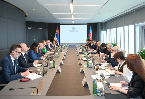 Обсуждено расширение сотрудничества в энергетике и инвестициях между Азербайджаном и Сербией