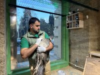 Спасены незаконно содержащиеся дикие животные (ФОТО)