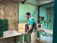 Спасены незаконно содержащиеся дикие животные (ФОТО)