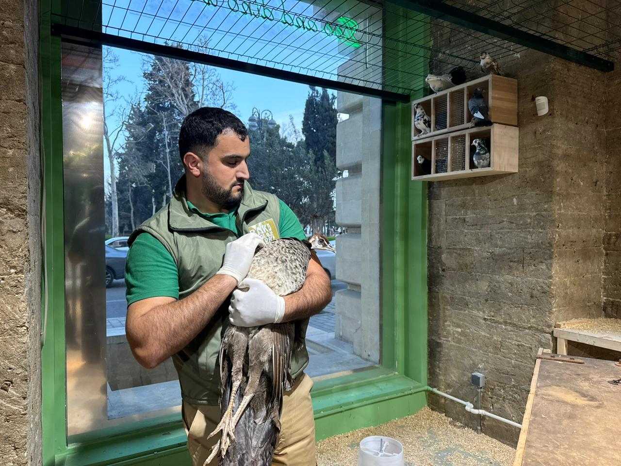 Спасены незаконно содержащиеся дикие животные (ФОТО)