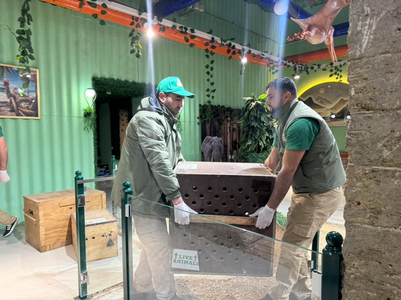 Спасены незаконно содержащиеся дикие животные (ФОТО)