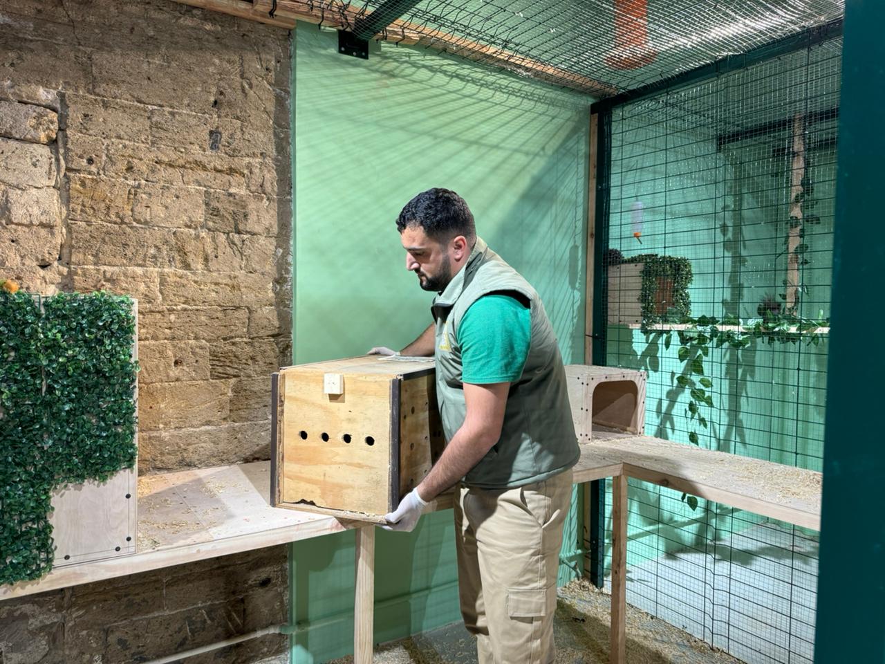 Спасены незаконно содержащиеся дикие животные (ФОТО)