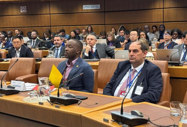 В Вене представлены инициативы Азербайджана в сфере "зеленой" энергетики