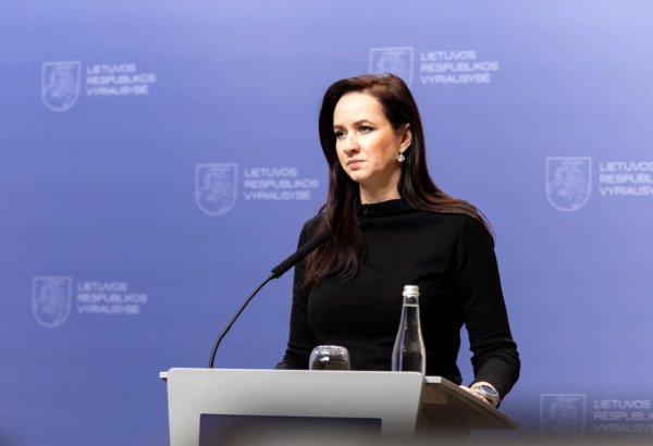 Литва видит значительный потенциал для укрепления сотрудничества между портами Клайпеда и Баку -Инга Ругинене (Эксклюзив)