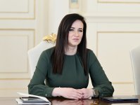 Президент Ильхам Алиев принял премьер-министра Литвы (ФОТО/ВИДЕО)