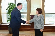 Сахиба Гафарова встретилась с участниками 3-й встречи парламентских групп дружбы Азербайджана, Турции и ТРСК (ФОТО)