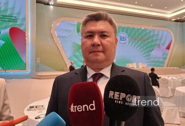 Казахстан ежегодно обеспечивает транзит около 35 млрд м³ туркменского газа в Китай - Алибек Жамауов