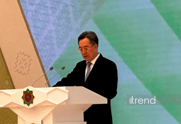 Более 460 млрд кубометров газа поставлено из Туркменистана в Китай - Дин Сюэсян