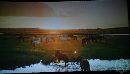 В киноцентре «Низами» прошла премьера документального фильма «Лошадиная сила» (ФОТО)