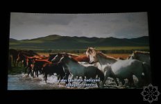 В киноцентре «Низами» прошла премьера документального фильма «Лошадиная сила» (ФОТО)