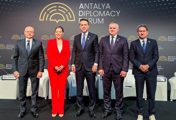 Энергетическая дипломатия Азербайджана представлена в Турции