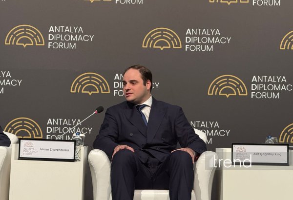 Грузии необходимо сотрудничество с партнёрами для продвижения Среднего коридора - Леван Жоржолиани