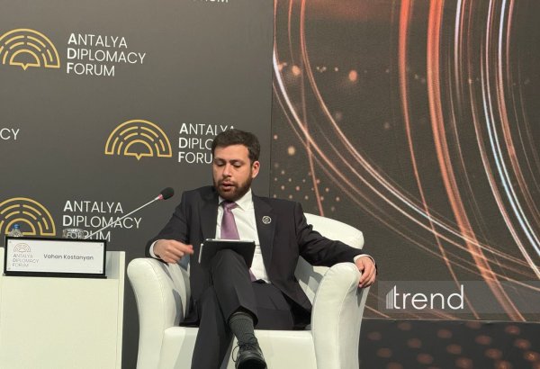 Армения заинтересована в развитии экономических и энергетических связей на Южном Кавказе - Ваан Костанян