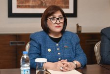 Сахиба Гафарова встретилась с председателем парламента Грузии (ФОТО)