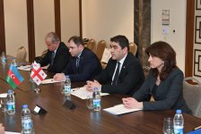 Сахиба Гафарова встретилась с председателем парламента Грузии (ФОТО)