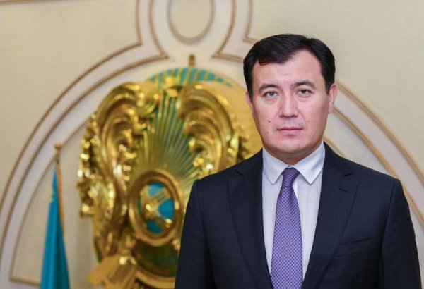 Центральная Азия демонстрирует устойчивость на фоне глобальных вызовов - Алибек Бакаев