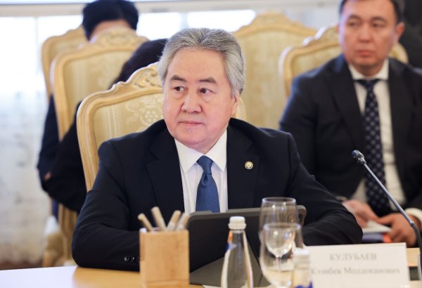 Кыргызстан рассчитывает на партнерство с Турцией и Азербайджаном - глава МИД