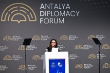 Первая леди Мехрибан Алиева в Анталье приняла участие в панели на тему «Объединившись ради мира в Палестине: борьба с разрушением системы образования и защита будущего» (ФОТО)