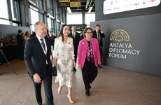 Первая леди Мехрибан Алиева в Анталье приняла участие в панели на тему «Объединившись ради мира в Палестине: борьба с разрушением системы образования и защита будущего» (ФОТО)