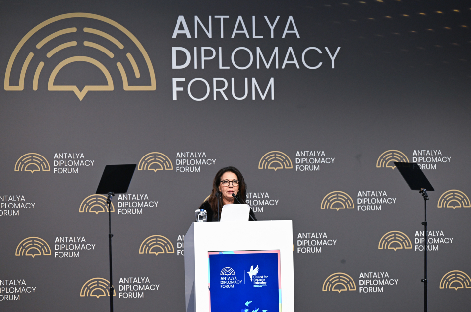 Первая леди Мехрибан Алиева в Анталье приняла участие в панели на тему «Объединившись ради мира в Палестине: борьба с разрушением системы образования и защита будущего» (ФОТО)