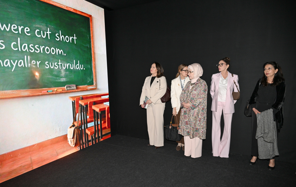 Первая леди Мехрибан Алиева в Анталье приняла участие в панели на тему «Объединившись ради мира в Палестине: борьба с разрушением системы образования и защита будущего» (ФОТО)