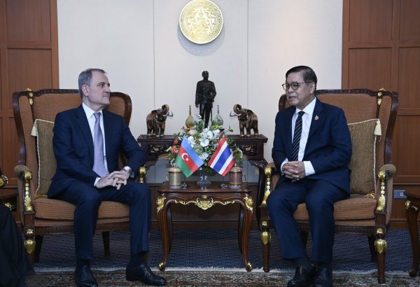 Джейхун Байрамов провел обсуждения с министром иностранных дел Таиланда