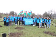 В селе Шахдаг Гядабейского района высажено более 6500 саженцев (ФОТО)