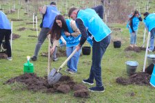 В селе Шахдаг Гядабейского района высажено более 6500 саженцев (ФОТО)