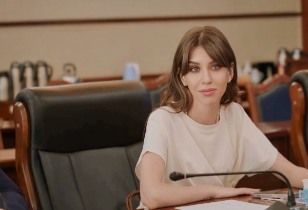 Экологическая повестка Центральной Азии в ритме глобальной перезагрузки