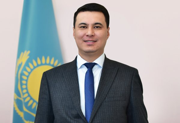 Казахстан усиливает сотрудничество в сфере экологии со странами Центральной Азии — вице-министр