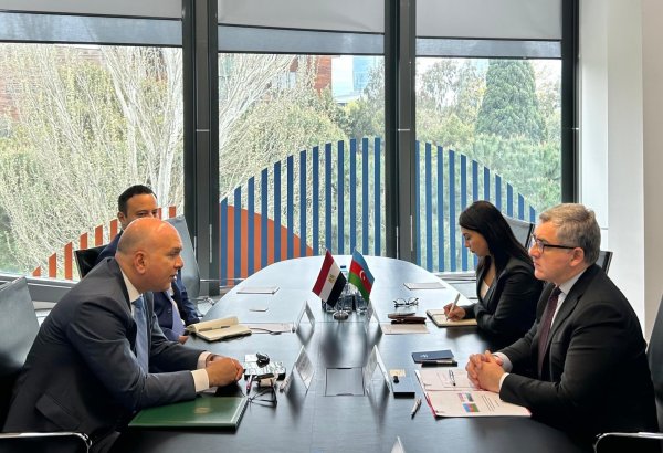 Обсуждено расширение сотрудничества в частном секторе Азербайджана и Египта