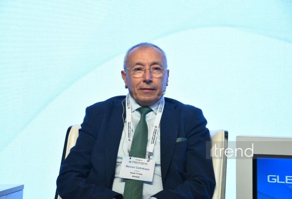 Турция и страны Кавказа могут стать важным центром нефтехимии в долгосрочной перспективе - SOCAR Türkiye