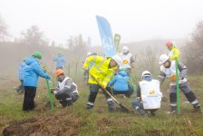 В Дашкесанском районе прошла серия акций по посадке деревьев (ФОТО)