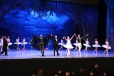 Белый лебедь, чёрная тайна - между светом и тьмой в Баку (ВИДЕО, ФОТО)