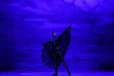 Белый лебедь, чёрная тайна - между светом и тьмой в Баку (ВИДЕО, ФОТО)