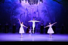 Белый лебедь, чёрная тайна - между светом и тьмой в Баку (ВИДЕО, ФОТО)