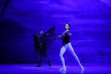 Белый лебедь, чёрная тайна - между светом и тьмой в Баку (ВИДЕО, ФОТО)