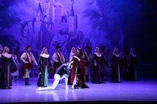 Белый лебедь, чёрная тайна - между светом и тьмой в Баку (ВИДЕО, ФОТО)