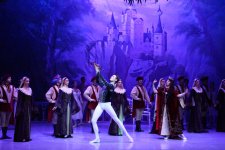 Белый лебедь, чёрная тайна - между светом и тьмой в Баку (ВИДЕО, ФОТО)