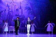 Белый лебедь, чёрная тайна - между светом и тьмой в Баку (ВИДЕО, ФОТО)