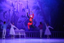 Белый лебедь, чёрная тайна - между светом и тьмой в Баку (ВИДЕО, ФОТО)