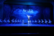 Белый лебедь, чёрная тайна - между светом и тьмой в Баку (ВИДЕО, ФОТО)