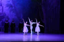 Белый лебедь, чёрная тайна - между светом и тьмой в Баку (ВИДЕО, ФОТО)