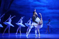 Белый лебедь, чёрная тайна - между светом и тьмой в Баку (ВИДЕО, ФОТО)