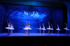 Белый лебедь, чёрная тайна - между светом и тьмой в Баку (ВИДЕО, ФОТО)