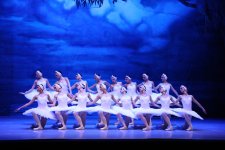 Белый лебедь, чёрная тайна - между светом и тьмой в Баку (ВИДЕО, ФОТО)