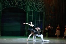 Белый лебедь, чёрная тайна - между светом и тьмой в Баку (ВИДЕО, ФОТО)